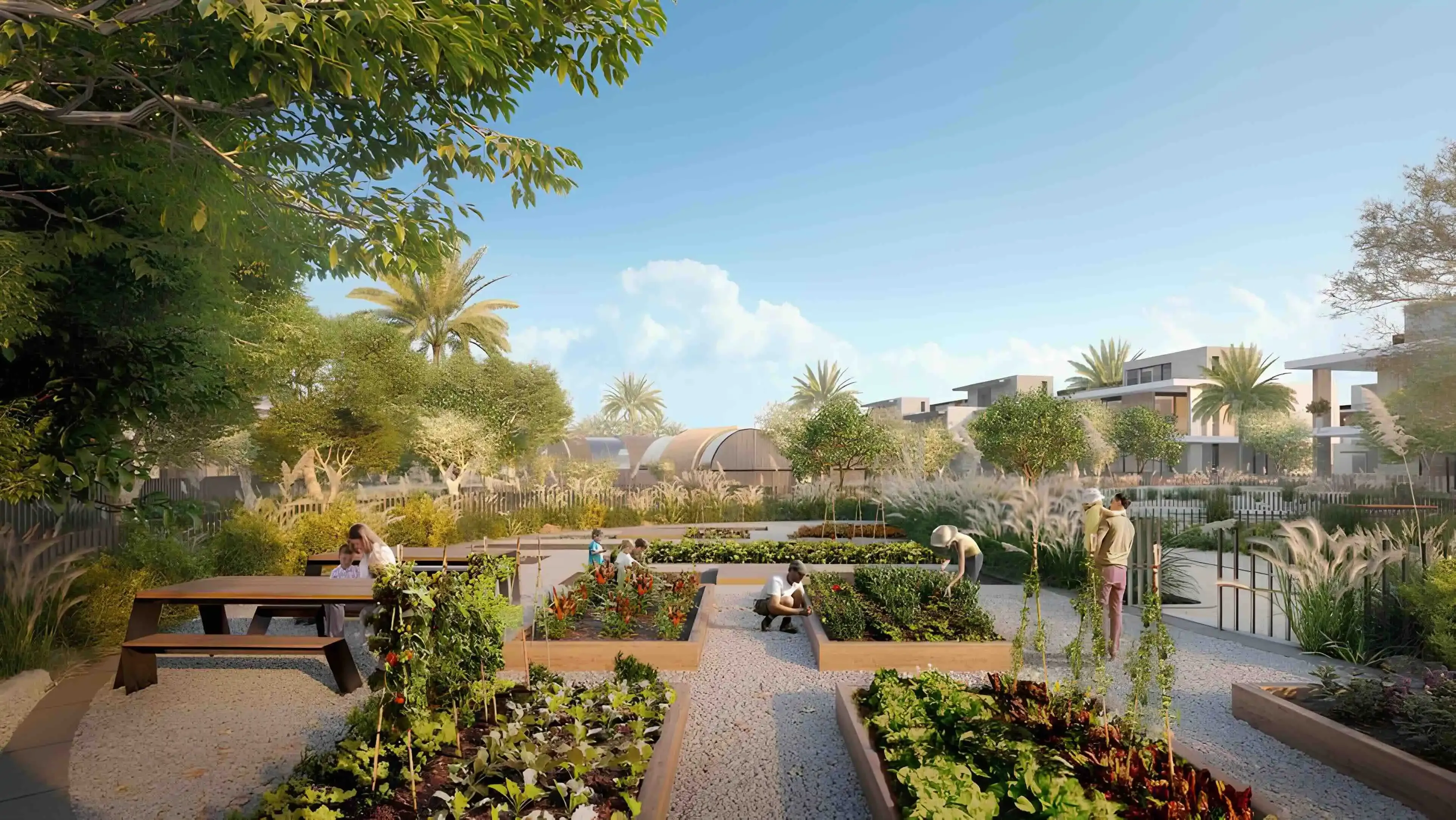 Farm Gardens, image 6